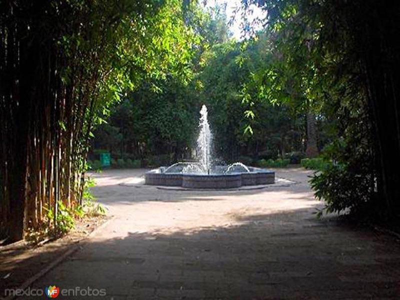 Parque Xicoténcatl Ciudad de México, Distrito Federal (mx12182420404504)