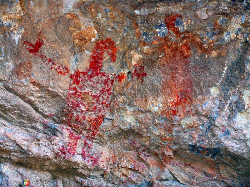 Pinturas rupestres de la Cueva del