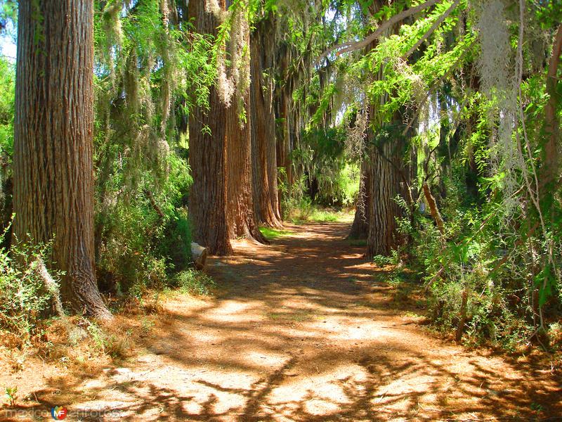 Peotillos Villa Hidalgo, San Luis Potosí (MX12895867921264)