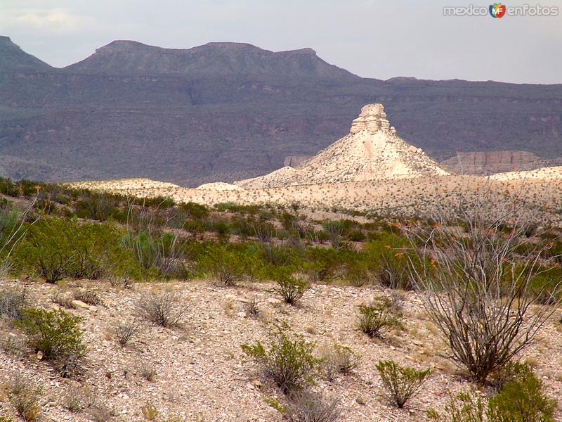 Reserva Protegida Cañón de Santa Elena: La Aguja