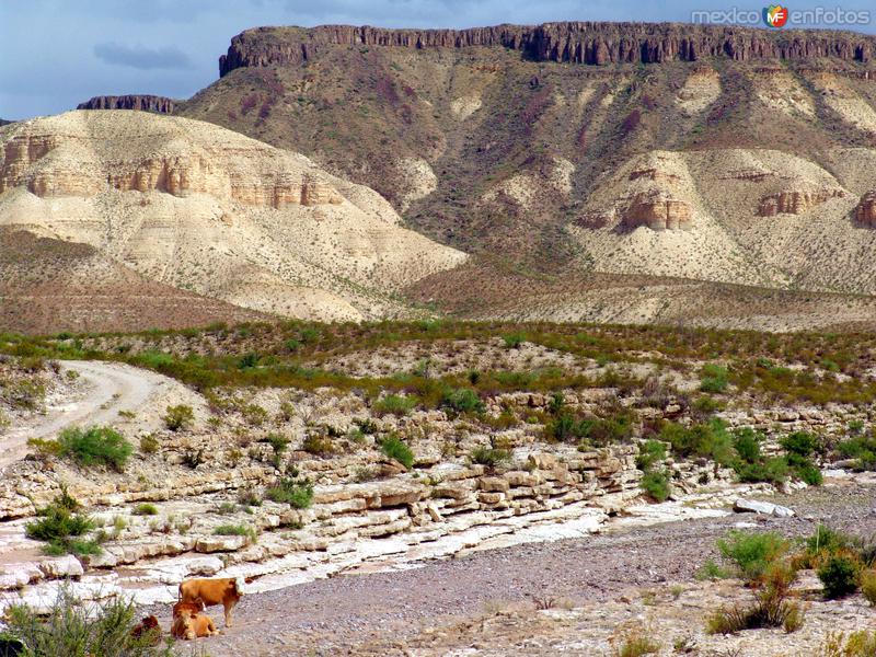 Reserva Protegida Cañón de Santa Elena