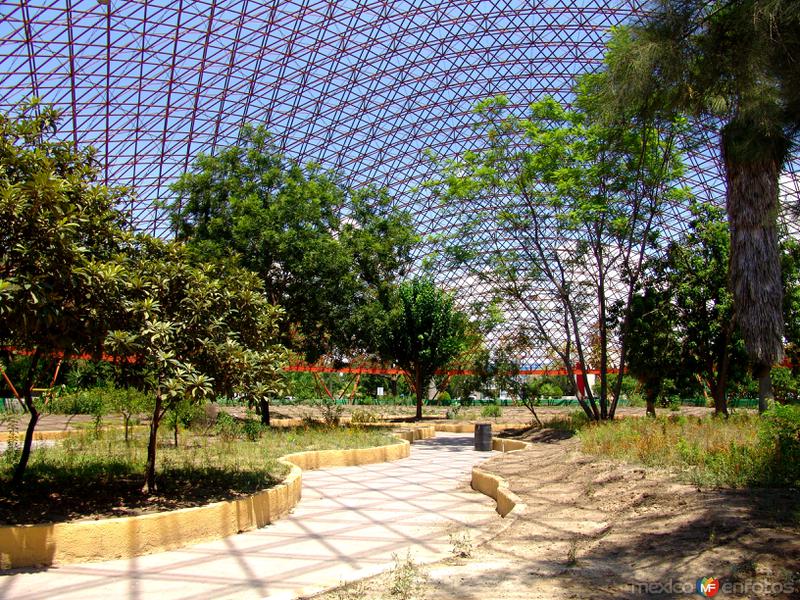 Jardín botánico