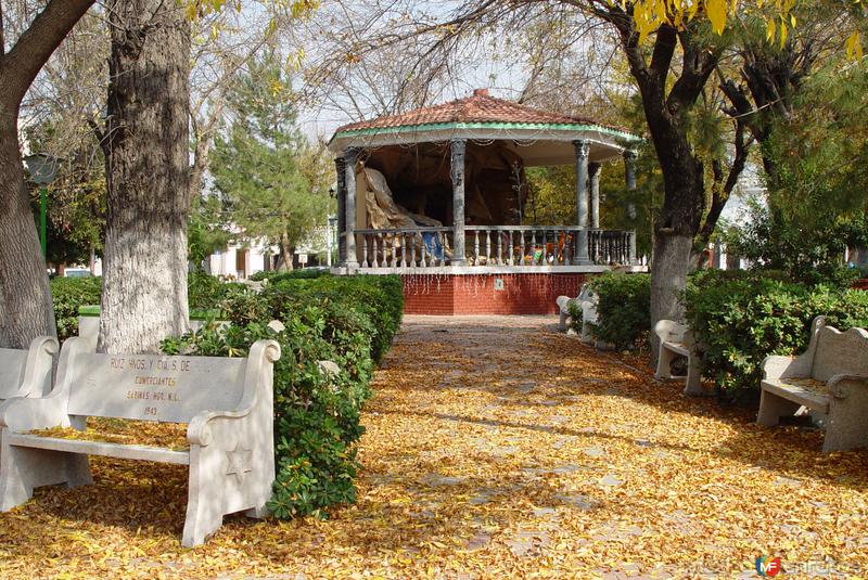 Otoño en la plaza Hidalgo