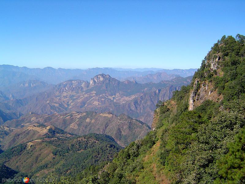 Sierra Madre Occidental