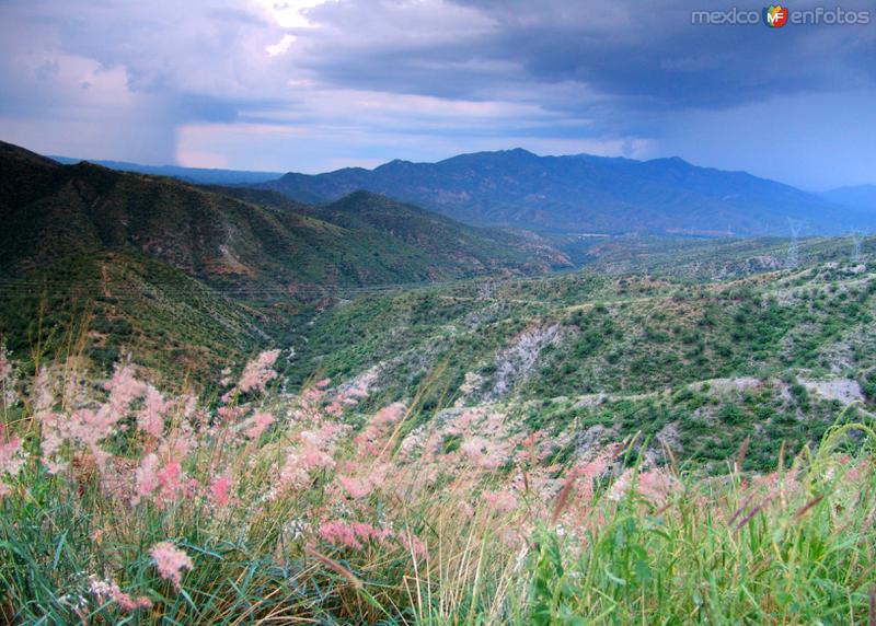 Fotos de Magdalena de Kino, Sonora, México: Sierra Madre Occidental