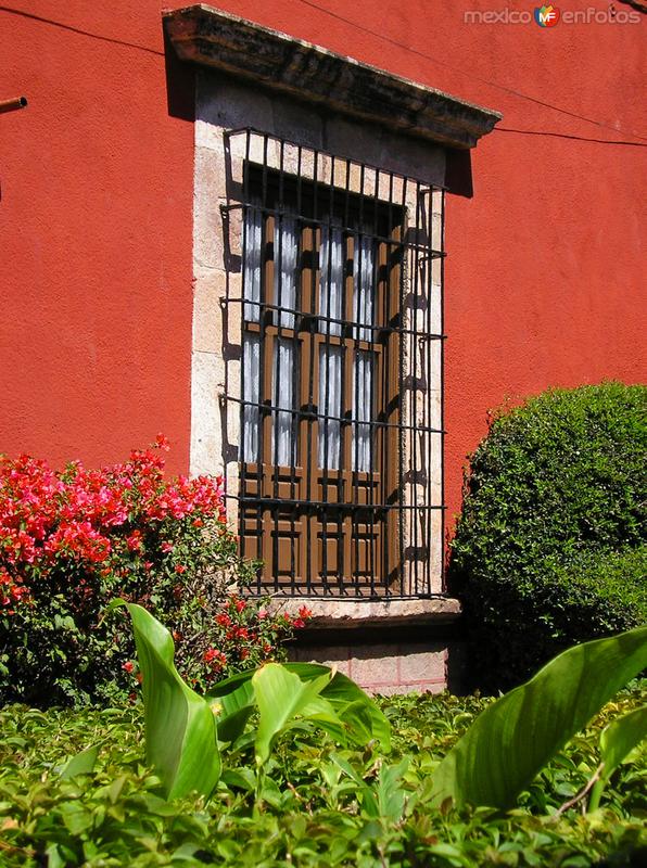 Ventana y jardín