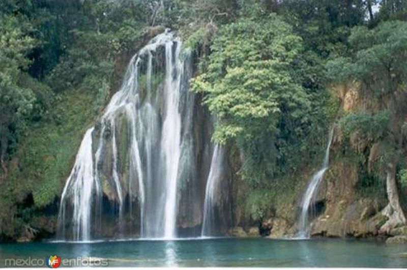 Cascadas de Tamasopo