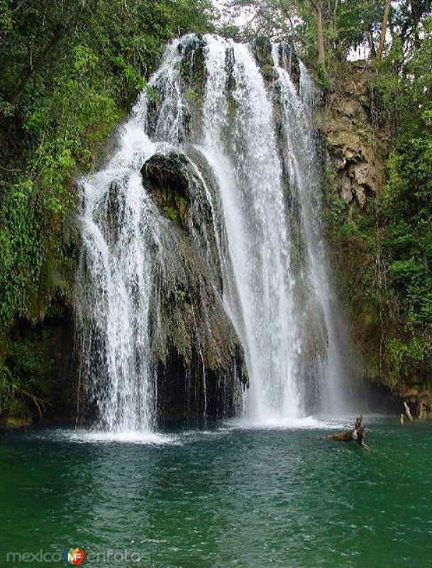 Cascadas de Tamasopo