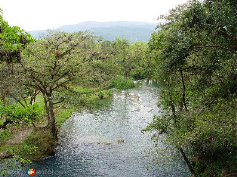 Cascadas de Tamasopo