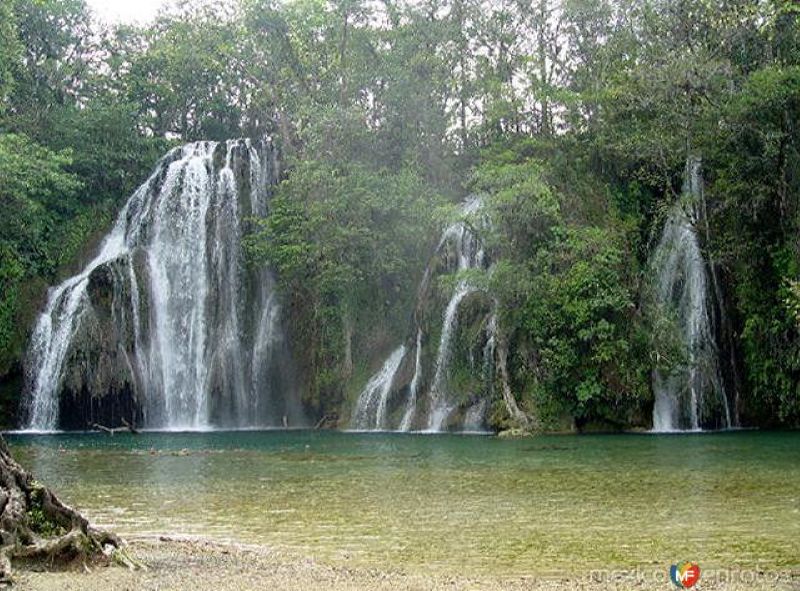 Cascadas de Tamasopo