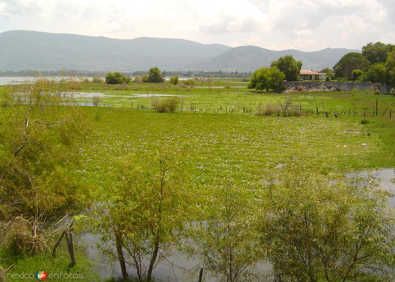 Lago de Chapala