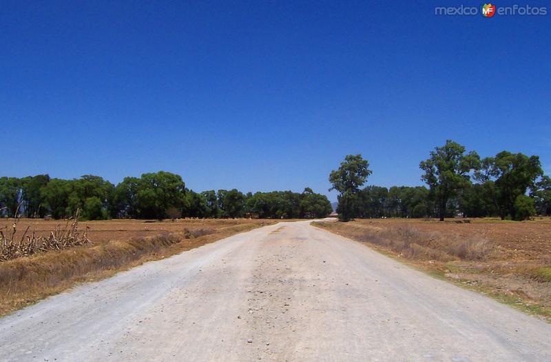 Caminos de San José del Sitio