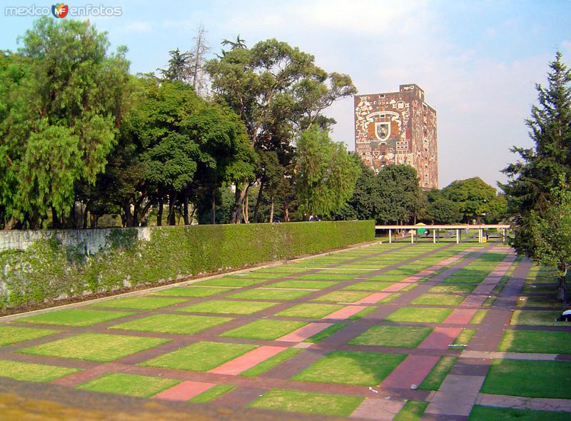 Jardines de la Ciuidad Universitaria