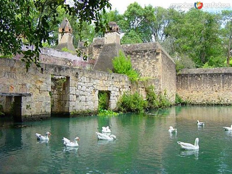 Fotos de Huasca de Ocampo, Hidalgo, México: Patos