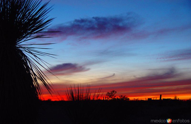 Atardecer en el desierto