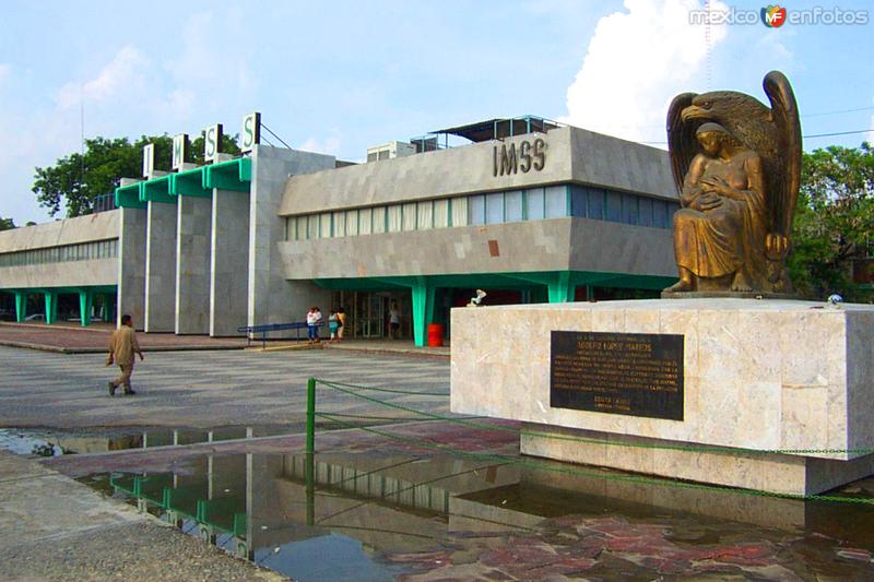 Instituto Mexicano del Seguro Social (IMSS)