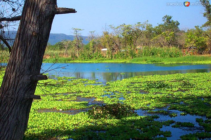 Presa La Aguja