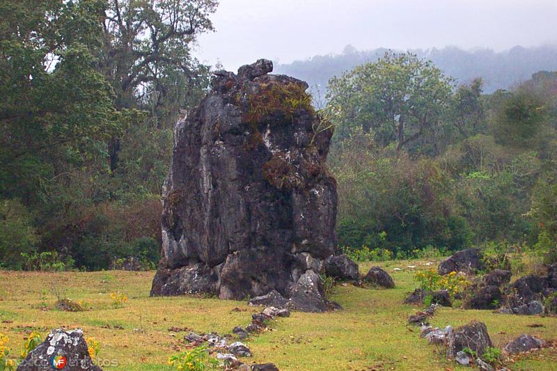 Reserva de la Biósfera El Cielo