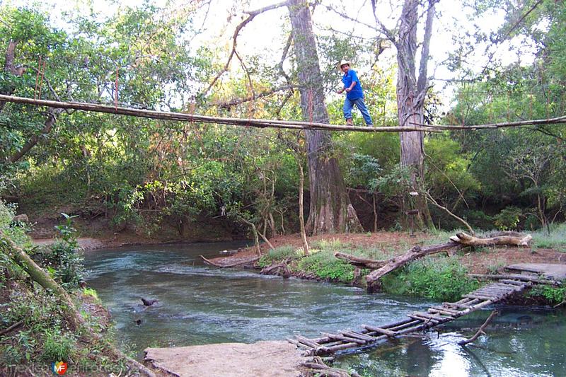 Puente Colgante en La Florida