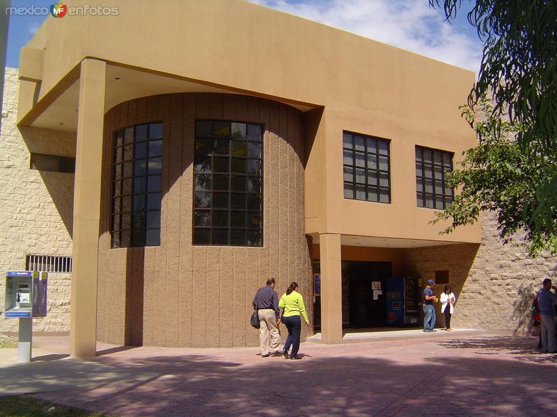 Instituto de Ciencias Biomédicas (ICB)