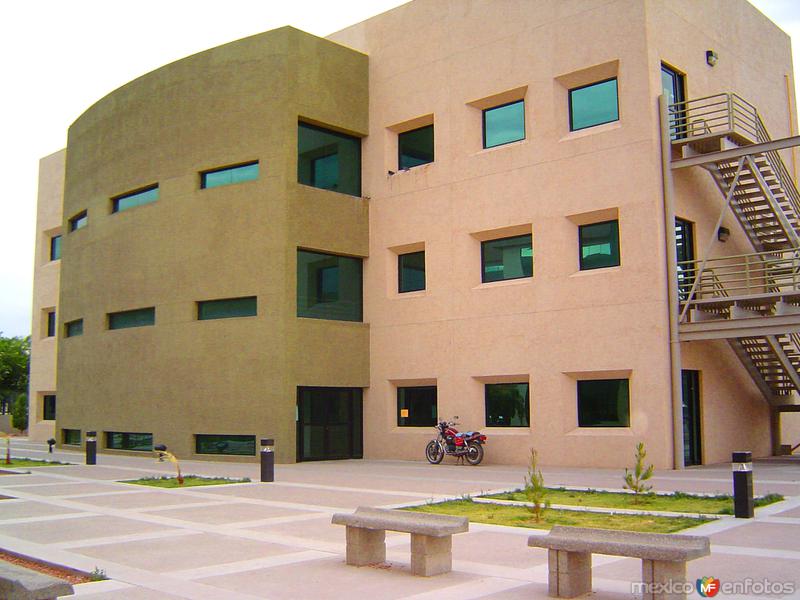 Instituto de Ciencias Biomédicas (ICB)