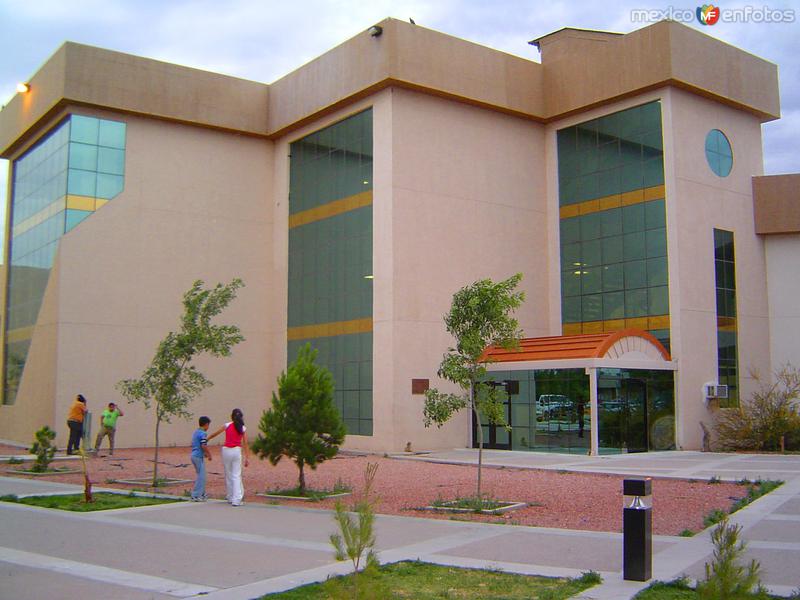Instituto de Ciencias Biomédicas (ICB)