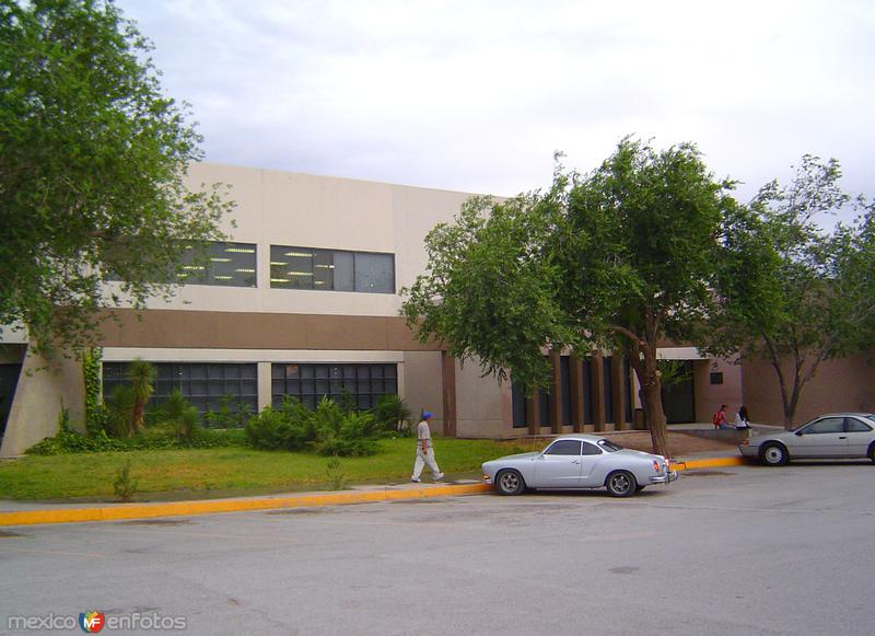 Instituto de Ciencias Biomédicas: Biblioteca