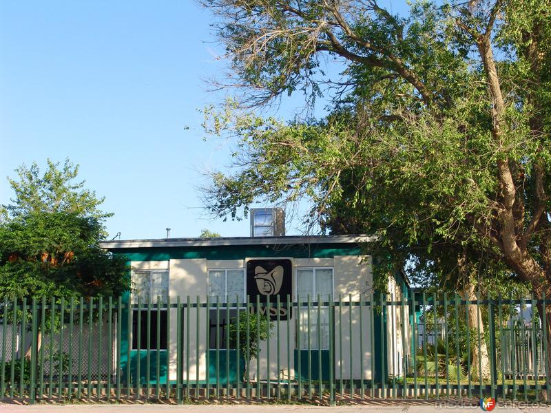 Instituto Mexicano del Seguro Social (IMSS)