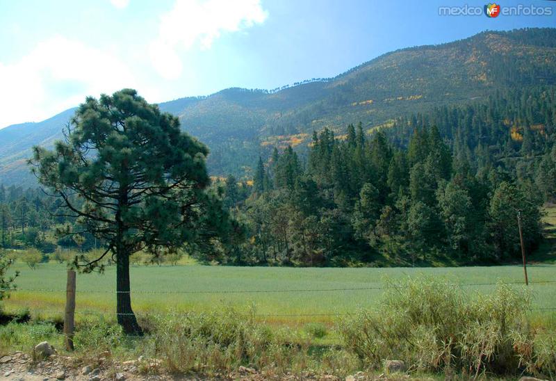 Sierra de Arteaga