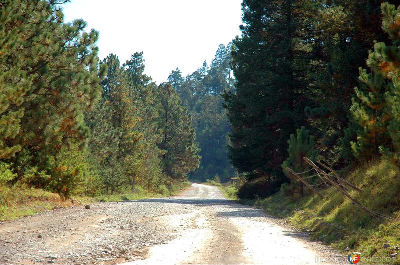 Sierra de Arteaga