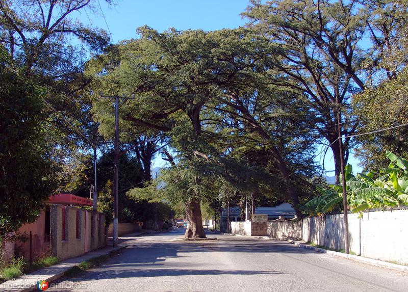 Calles de Melchor Múzquiz