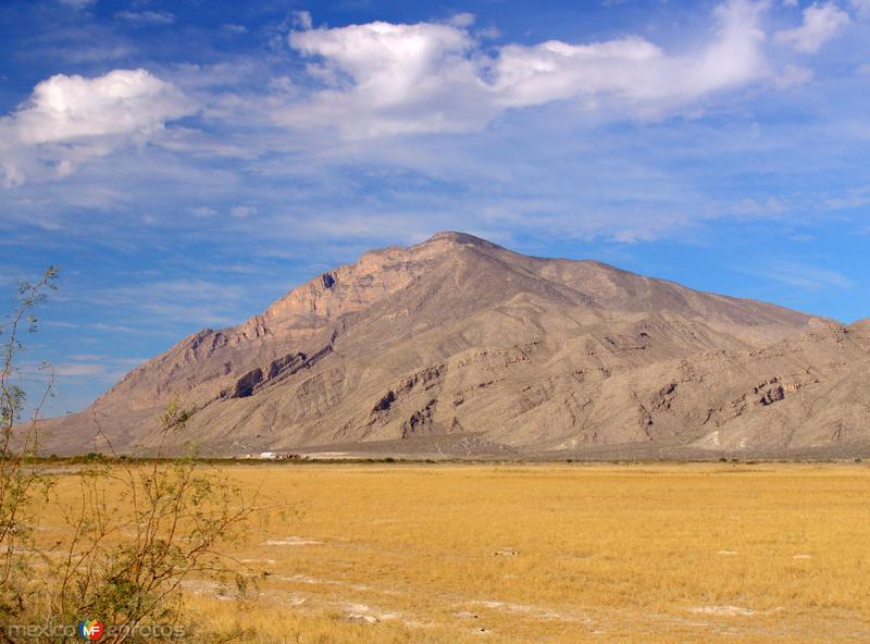 Área protegida de flora y fauna de Cuatro Ciénegas