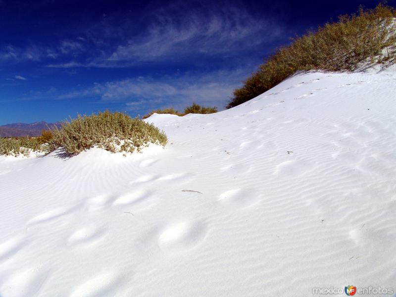 Arenas blancas de las Dunas de Yeso