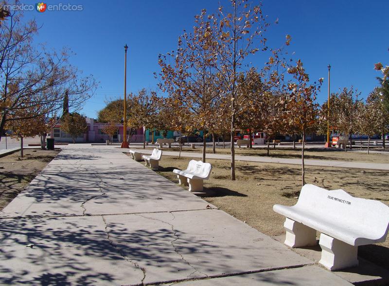 Plaza Principal de Las Nieves