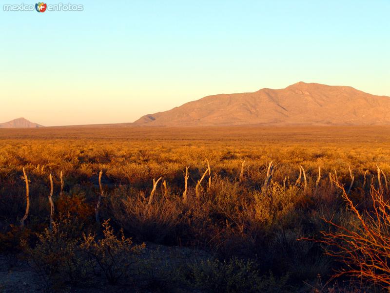 Vista del Bolsón de Mapimí