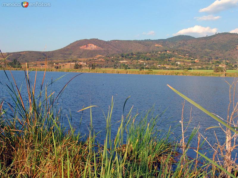 Laguna Zapotlán