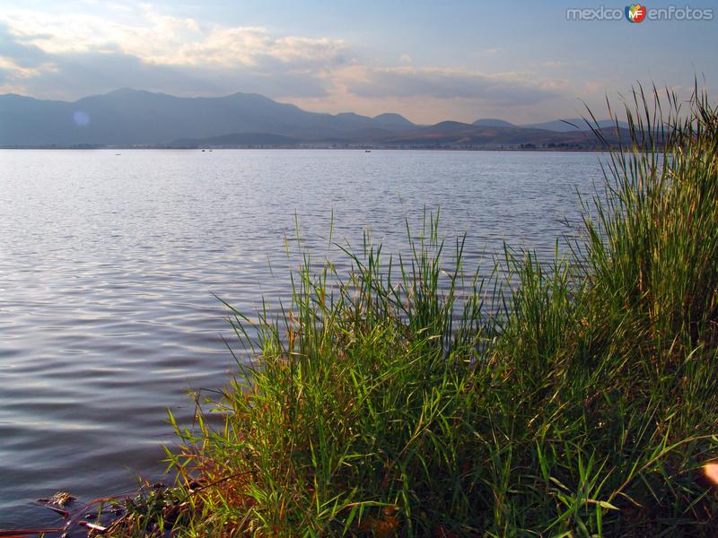 Laguna Zapotlán