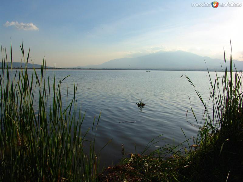 Laguna Zapotlán