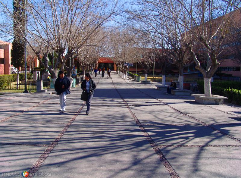 Explanada del Hospital General de Zona No. 6 del IMSS