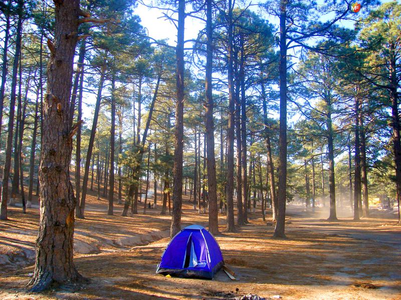 Área para acampar