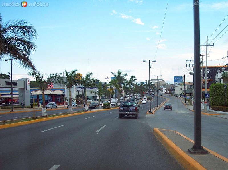 Avenida Hidalgo