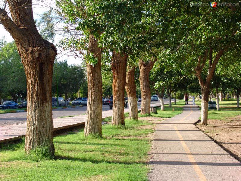 Pista para caminata