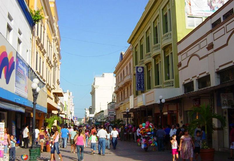 Calle peatonal Salvador Díaz Mirón