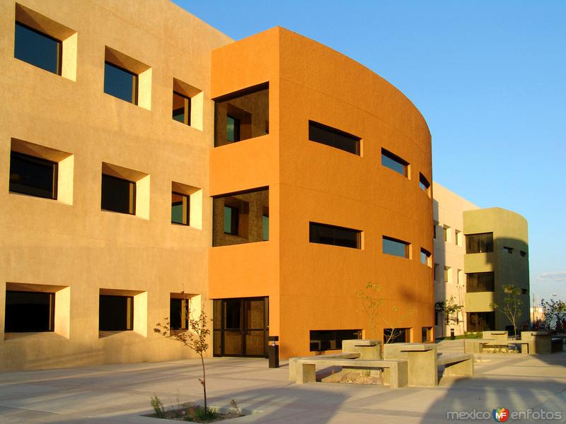 Instituto de Ingeniería y Tecnología (IIT)