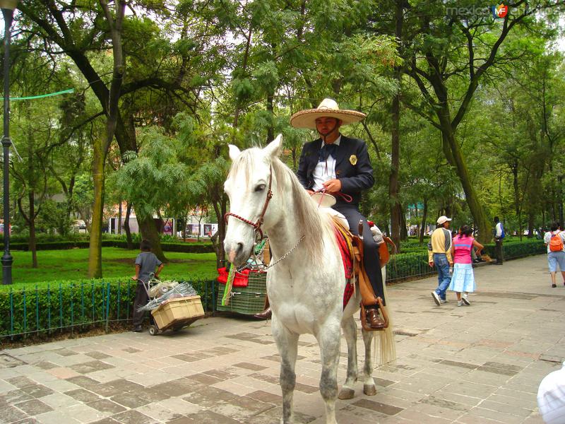 Policía montada