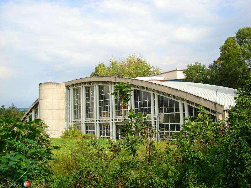 Biblioteca del Instituto de Investigaciones Filológicas