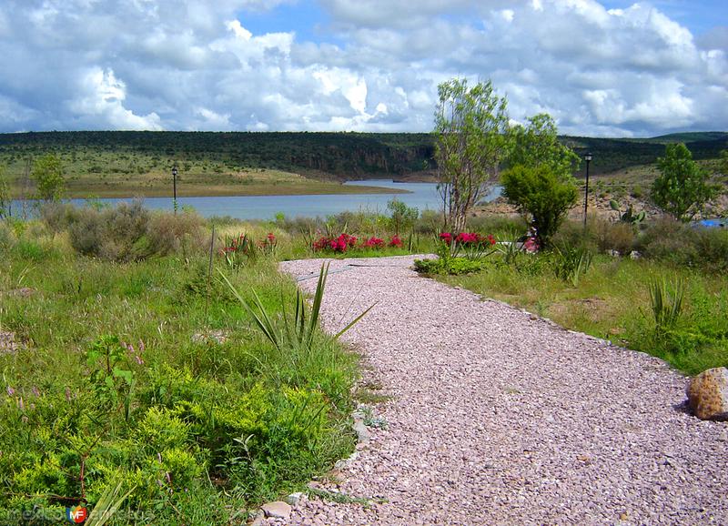 Presa Plutarco Elías Calles