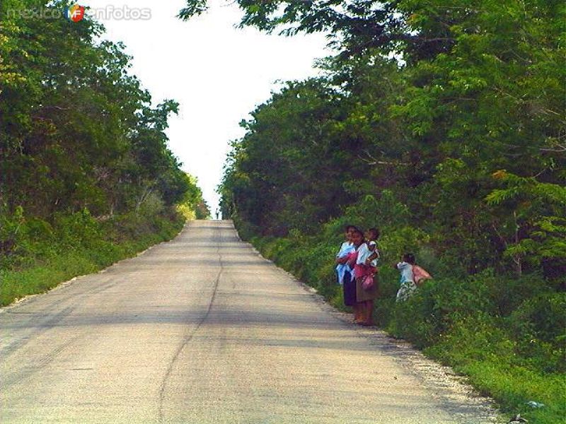 Camino a Cobá