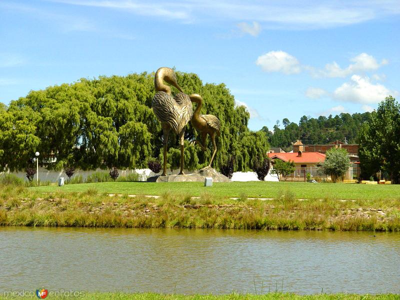 Lago de las Garzas