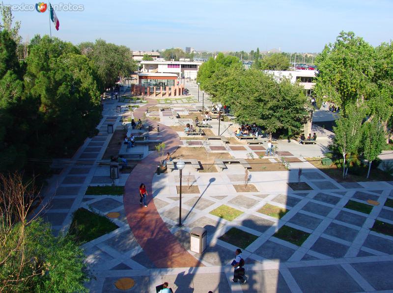 Instituto de Ciencias Sociales y Administración (ICSA)